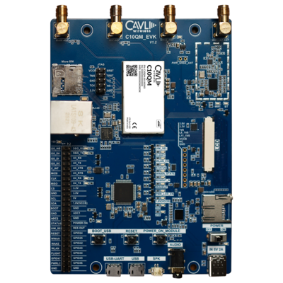 C10QM-DDK-07