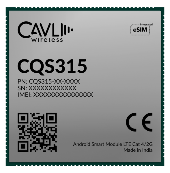 253882_copy_of_cqs315